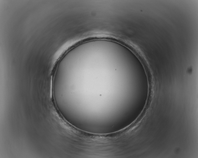 X0000116891175200912291257