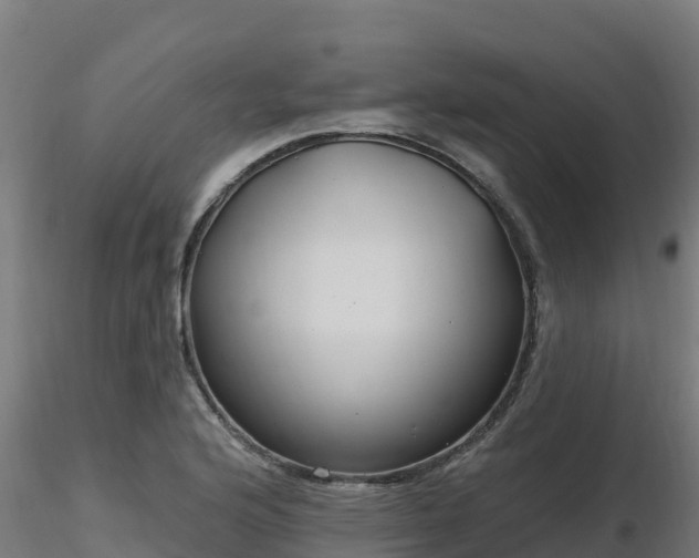 X0000116891176200912291257