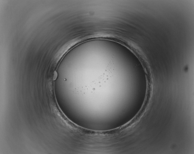 X0000116891177200912291257