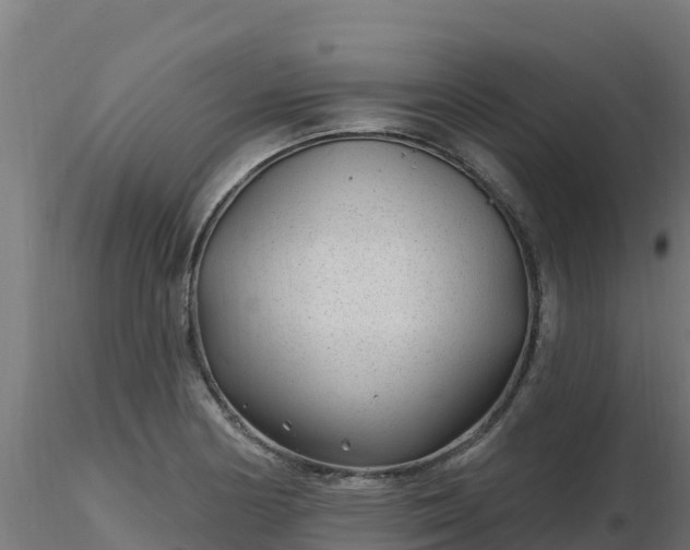 X0000116891178200912291257