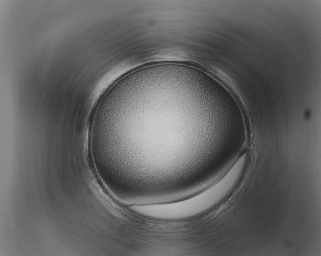 X0000116891179200912291257
