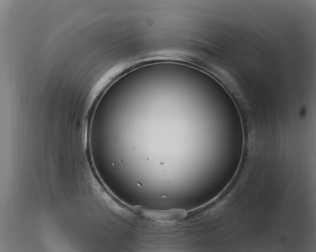 X0000116891180200912291257