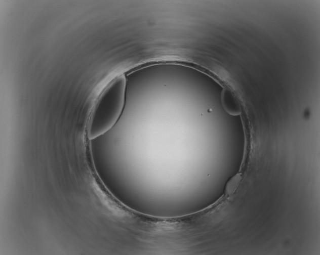 X0000116891181200912291257