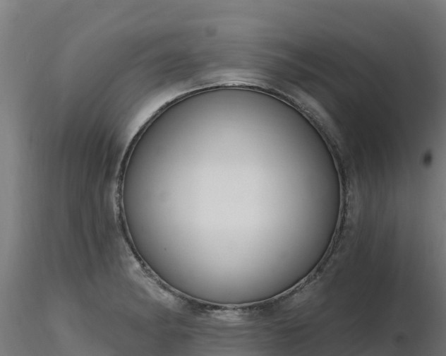 X0000116891182200912291257
