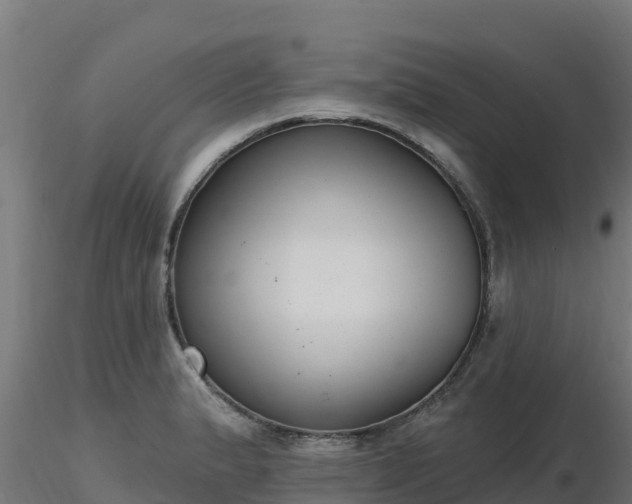X0000116891183200912291257