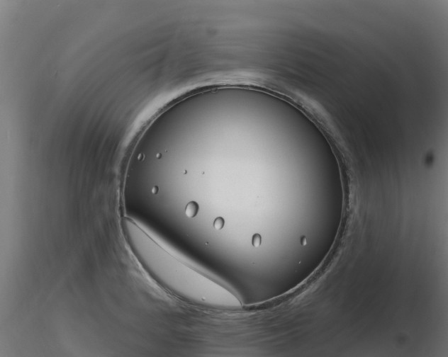 X0000116891184200912291257