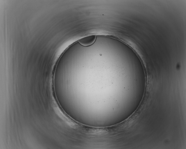 X0000116891187200912291257