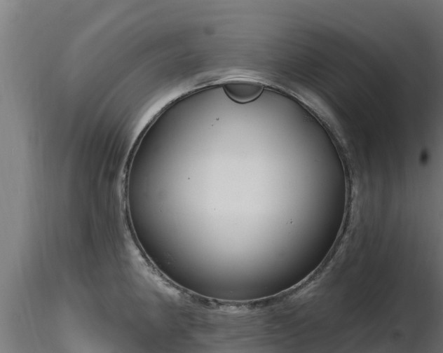 X0000116891190200912291257