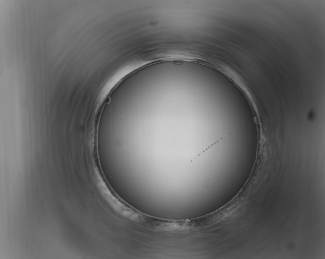 X0000116891195200912291257