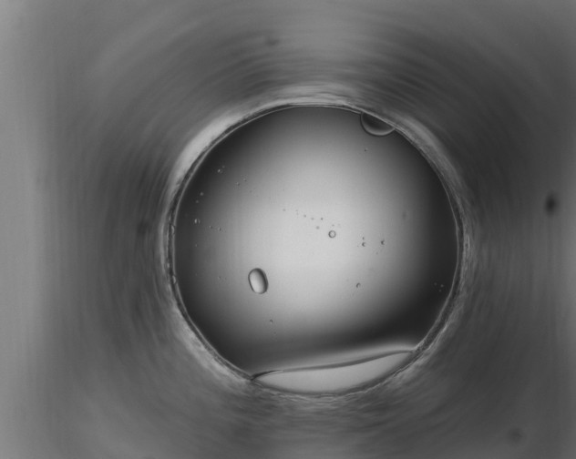 X0000116891196200912291256