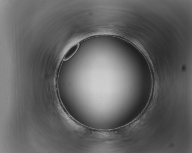 X0000116891197200912291256