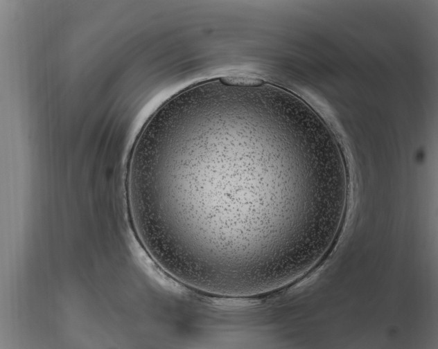 X0000116891200200912291256