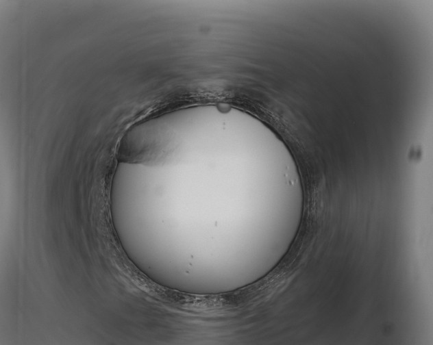 X0000116891201200912291256