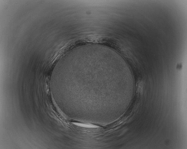 X0000116891202200912291256