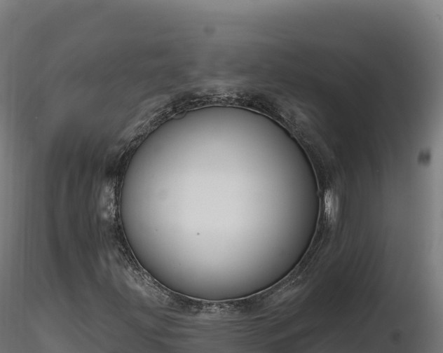 X0000116891203200912291256