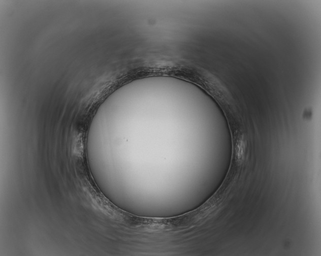 X0000116891204200912291256