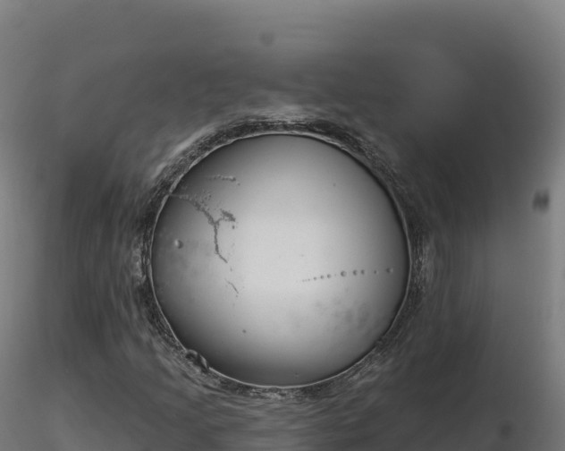 X0000116891205200912291256