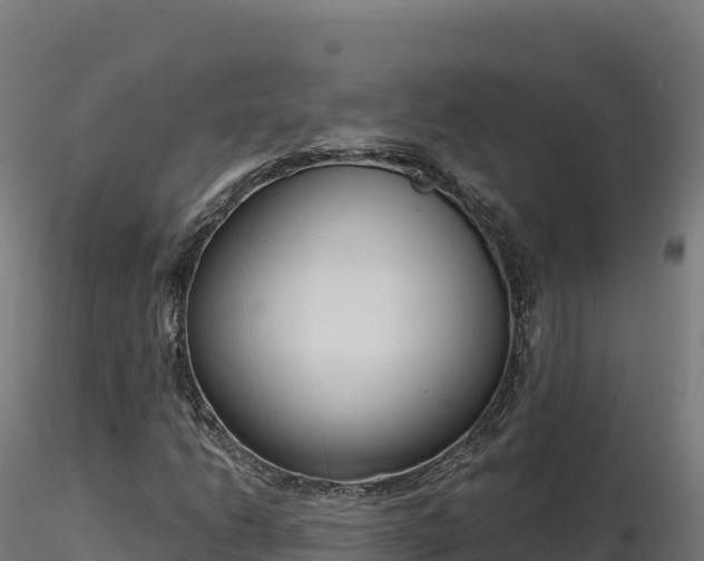 X0000116891206200912291256