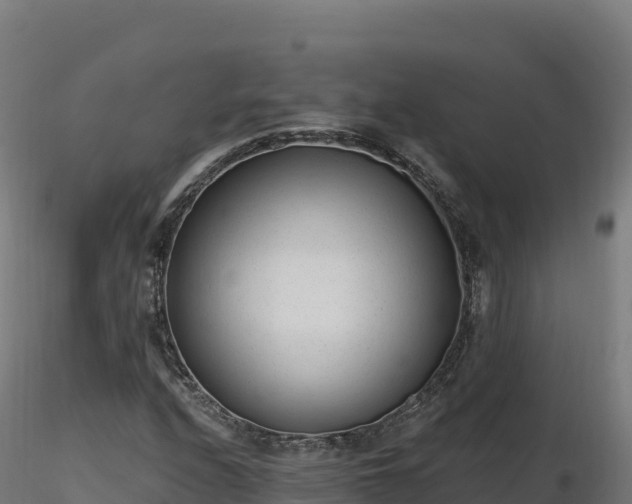 X0000116891208200912291256