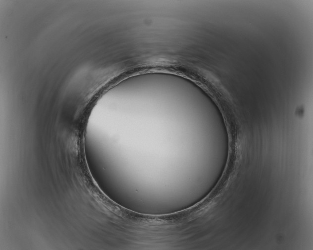 X0000116891209200912291256
