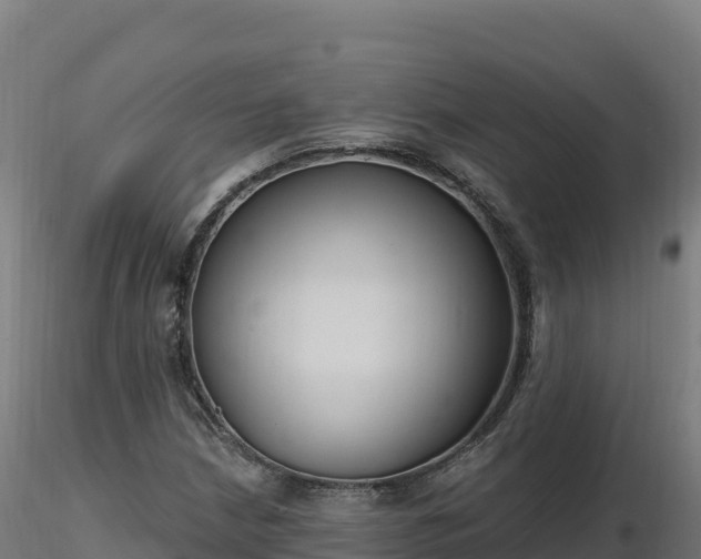X0000116891210200912291256