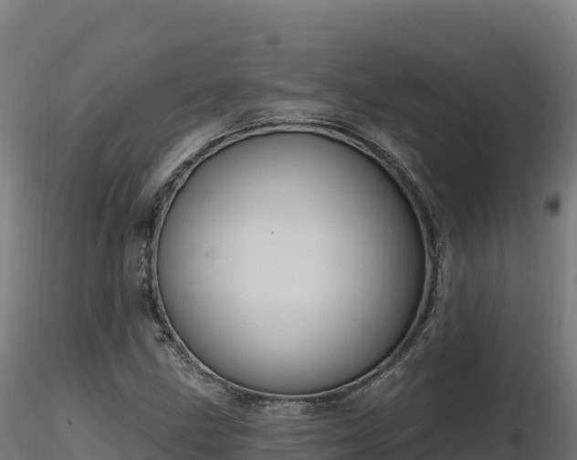 X0000116891211200912291256