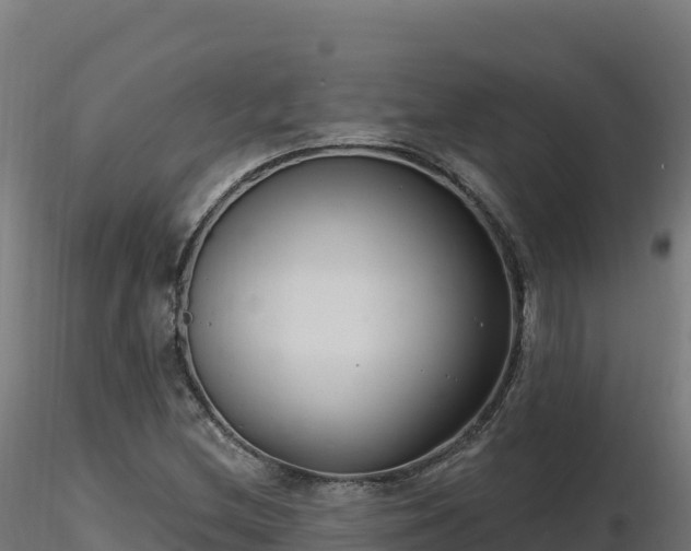 X0000116891212200912291256