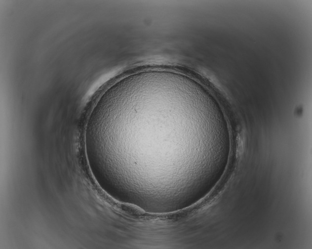 X0000116891213200912291256