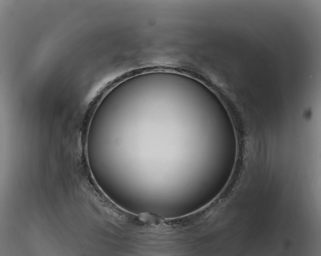 X0000116891214200912291256