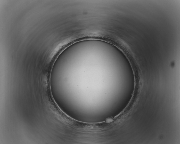 X0000116891218200912291256