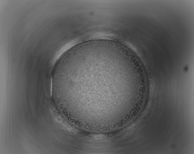 X0000116891219200912291256