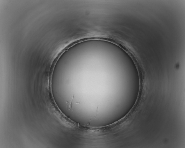 X0000116891220200912291256