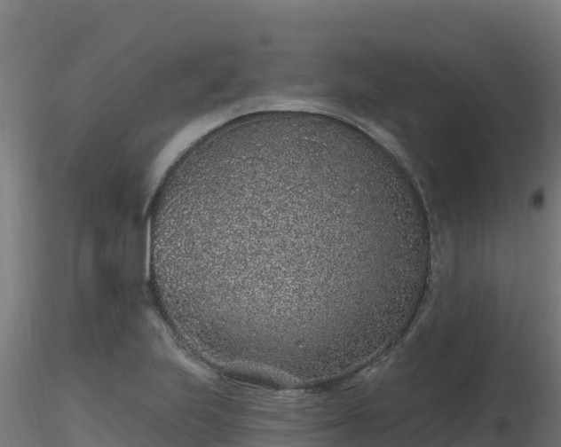 X0000116891223200912291256