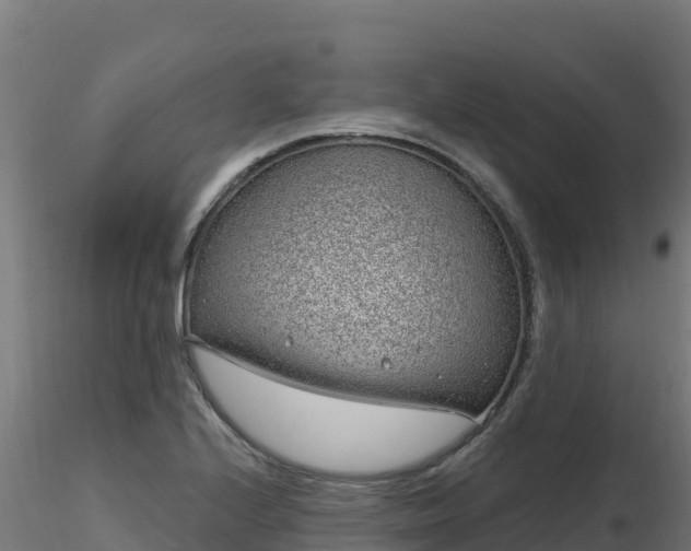 X0000116891224200912291256