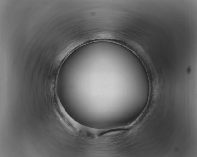 X0000116891225200912291256