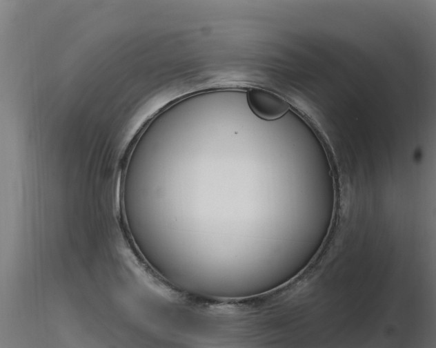 X0000116891227200912291256