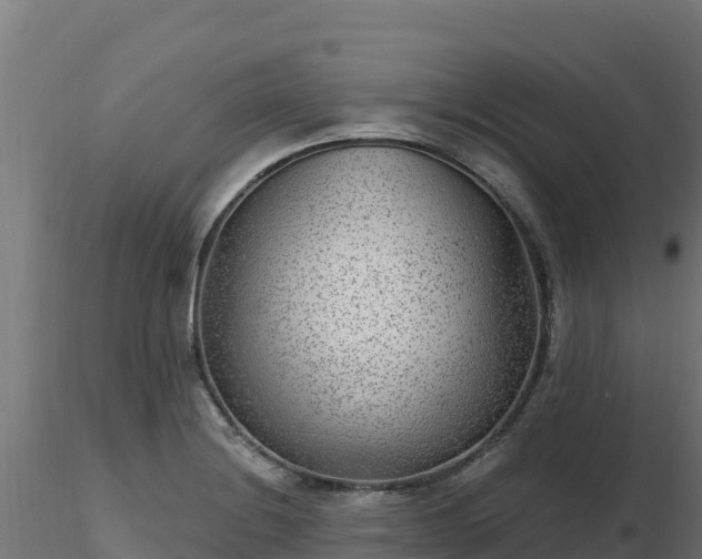 X0000116891228200912291256