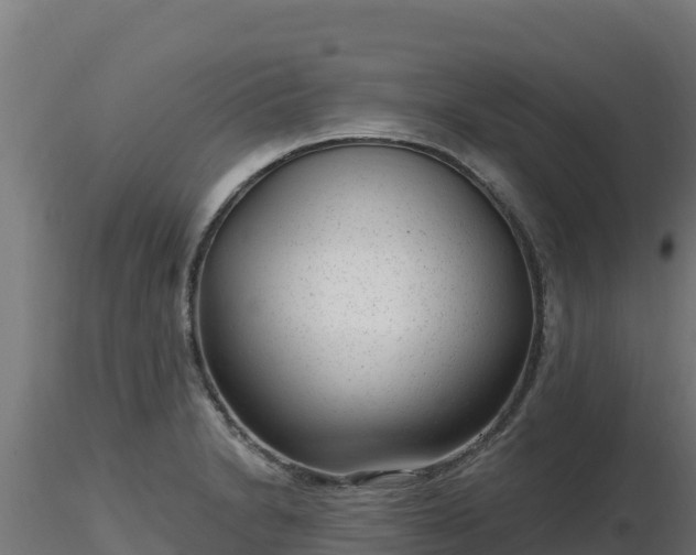 X0000116891230200912291256