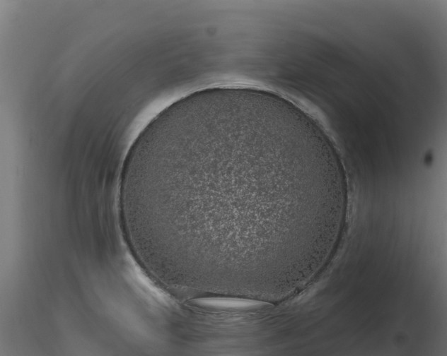 X0000116891231200912291256