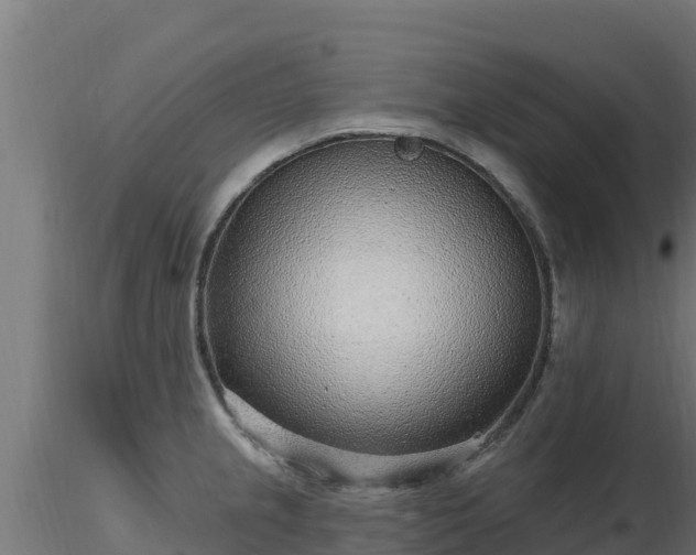 X0000116891237200912291256
