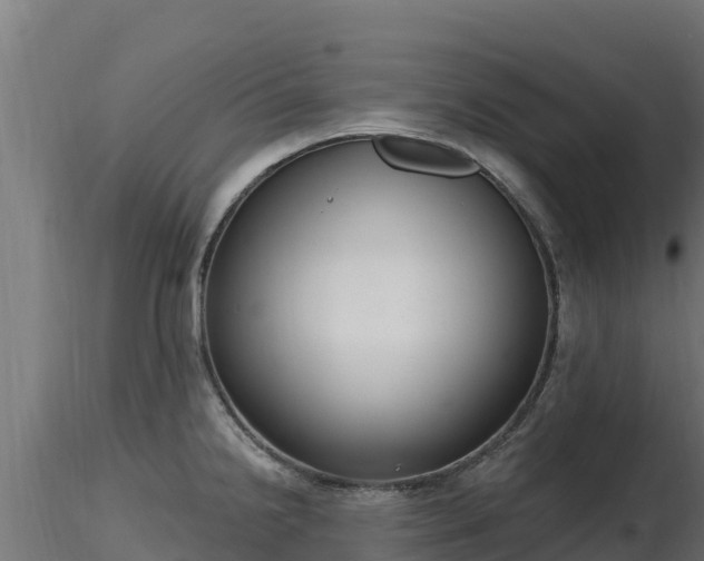 X0000116891238200912291256