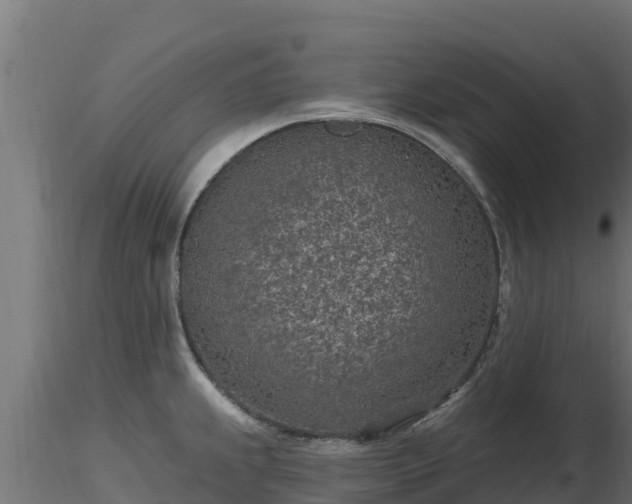 X0000116891239200912291256