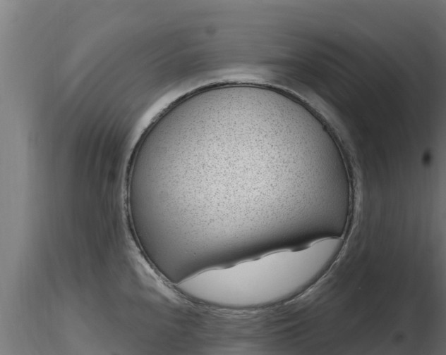 X0000116891240200912291256