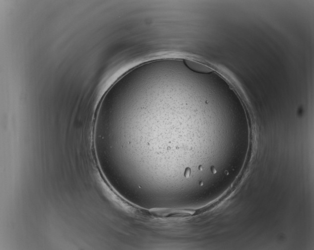 X0000116891244200912291256