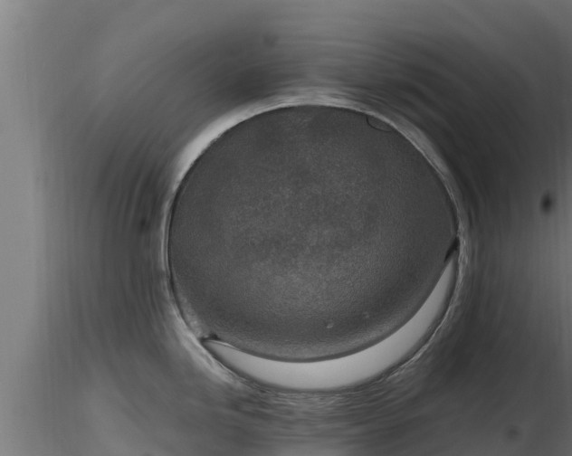 X0000116891246200912291256