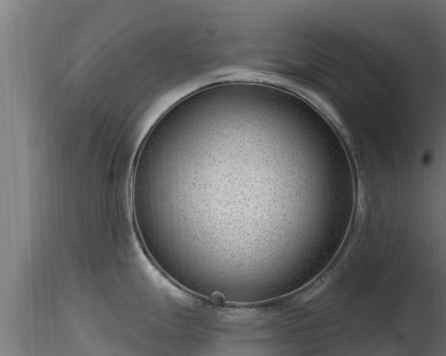 X0000116891247200912291256