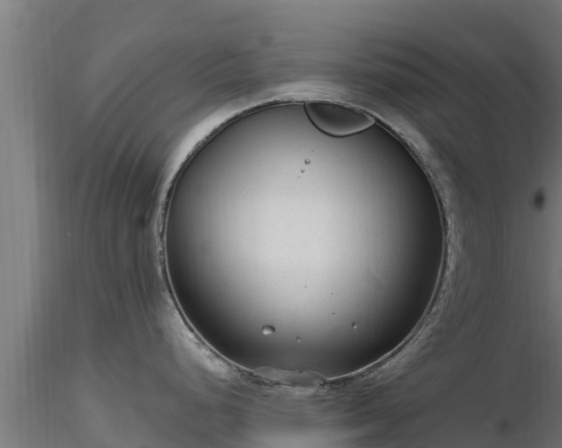 X0000116891248200912291256
