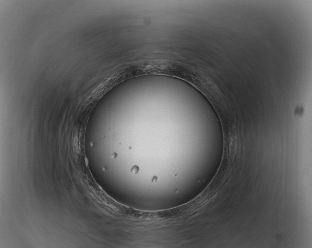 X0000116891250200912291256