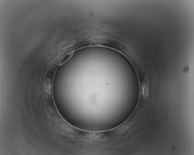X0000116891251200912291256