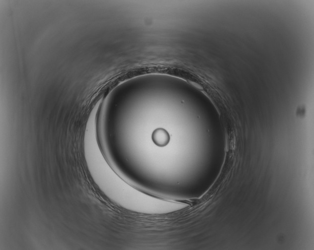 X0000116891252200912291256